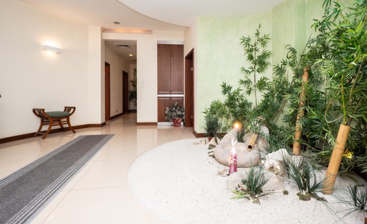 premise for rent - Kraków, Zwierzyniec, Salwator, Senatorska
