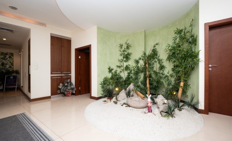 lokal na wynajem - Kraków, Zwierzyniec, Salwator, Senatorska