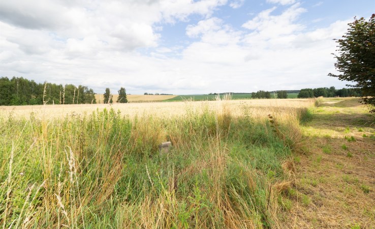 działka na sprzedaż - Biskupice (gw), Trąbki